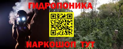 бошки Кунгур